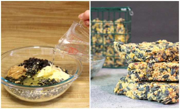 making homemade birdseed cakes