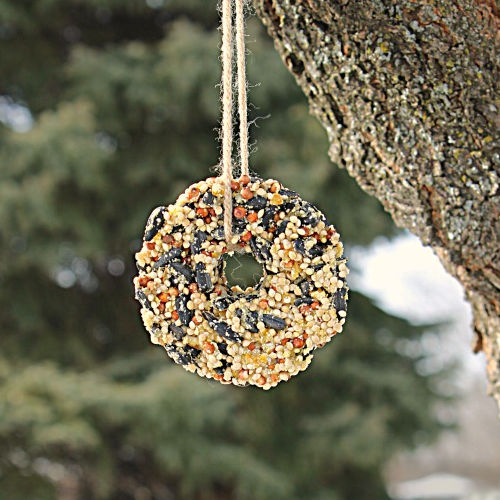 A homemade birdseed ornament hanging in a tree