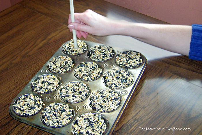 Homemade birdseed ornaments in a muffin tin mold