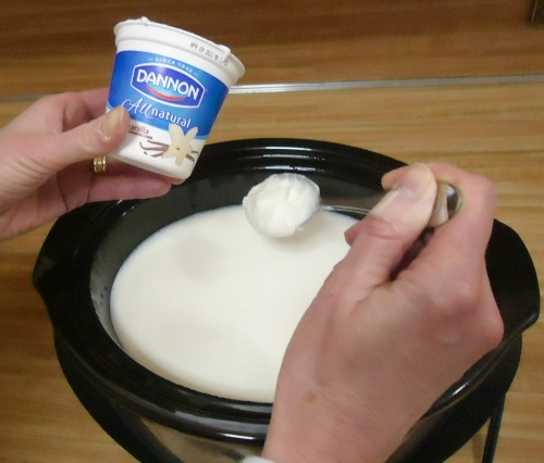 Homemade Yogurt in the Crockpot