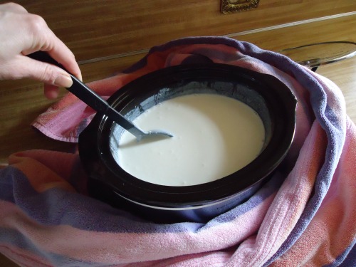 Homemade Yogurt in the Crockpot