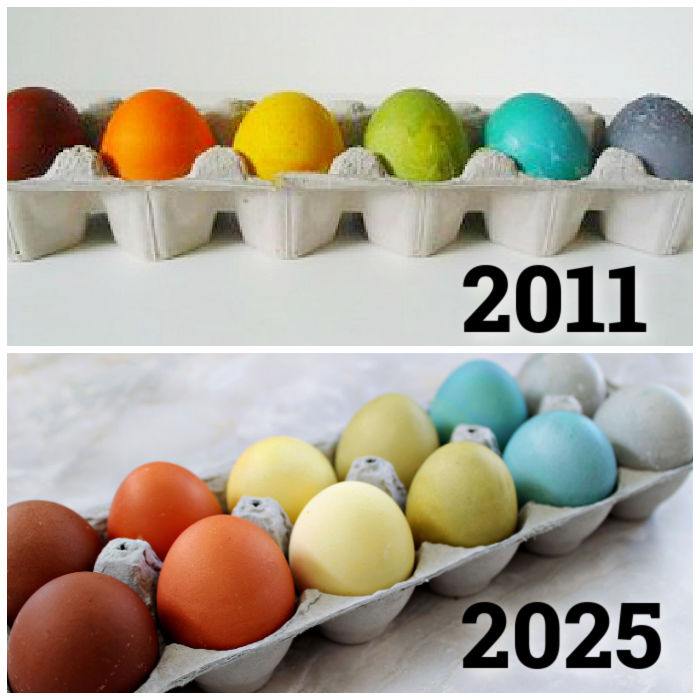 Egg cartons with naturally dyed Easter eggs