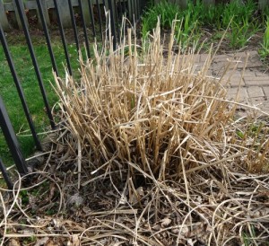 Homemade Reed Diffuser