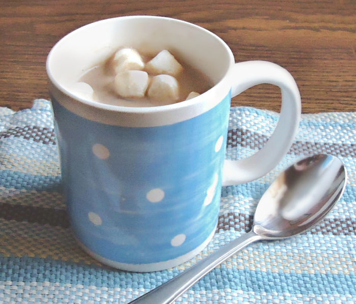 A mug of homemade hot choclate