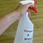 My Favorite Homemade All Purpose Cleaner