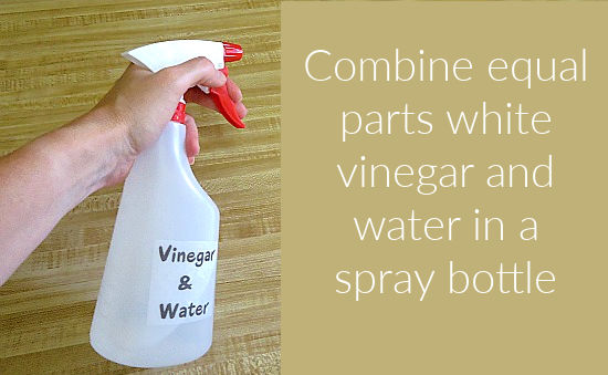 Vinegar and water in a spray bottle for cleaning
