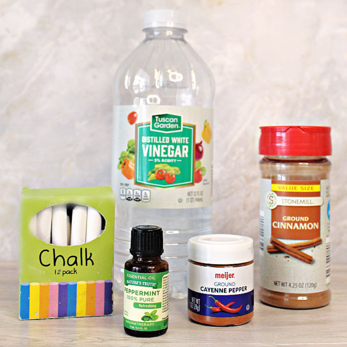 natural ways to repel ants