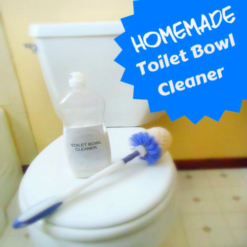 Homemade Toilet Bowl Cleaner