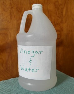 homemade cleaner gallon refill
