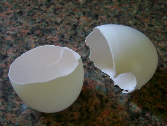 make seed pots from eggshells