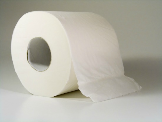 make seed tape from toilet paper