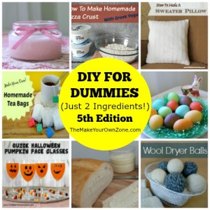 DIY For Dummies (Just 2 Ingredients!) – 5th Edition