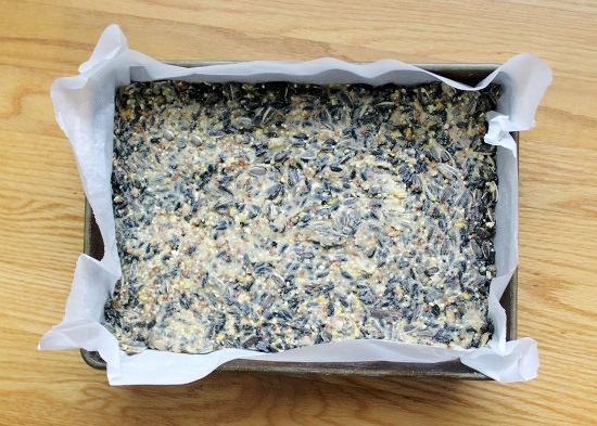 homemade birdseed cake mixture in a pan