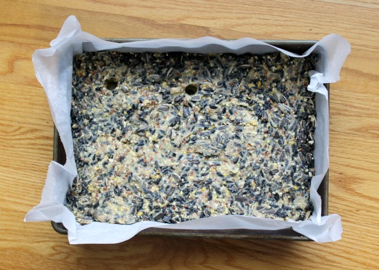 Make your own birdseed cakes with this simple recipe