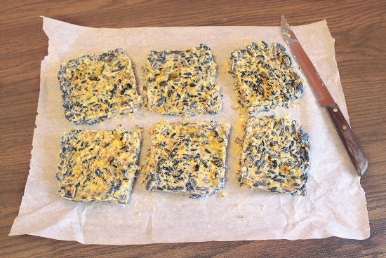 six homemade birdseed cakes