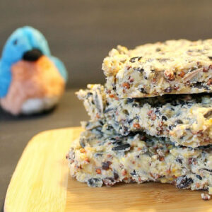 A stack of homemade birdseed cakes