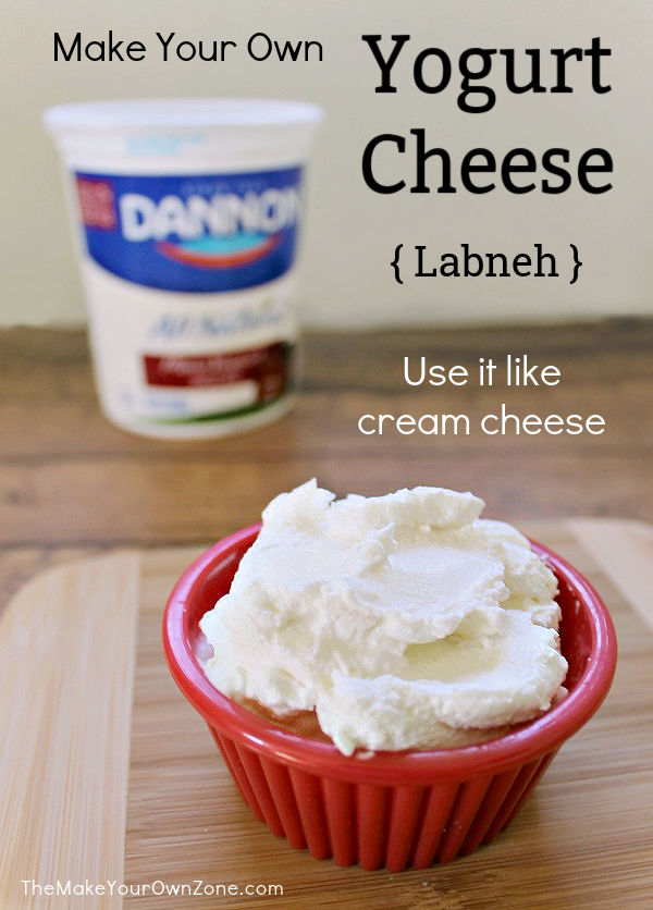 A bowl of homemade labneh yogurt cheese