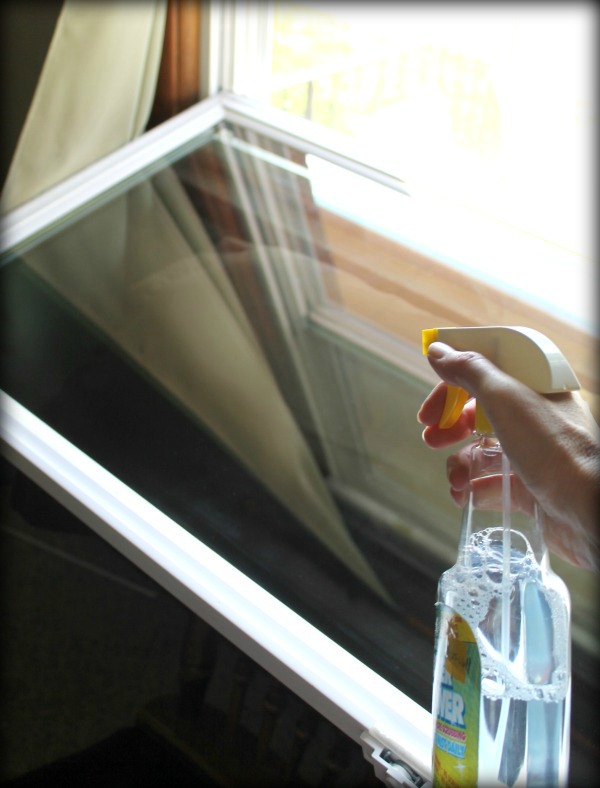 Homemade Window Cleaner With Jet Dry Solution (Demo) - A+ Pro Serivces