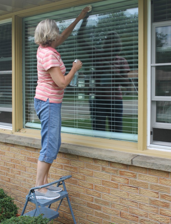 My unexpected DIY window cleaner - it worked great!