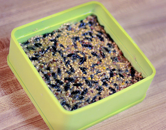 making a homemade birdseed cake