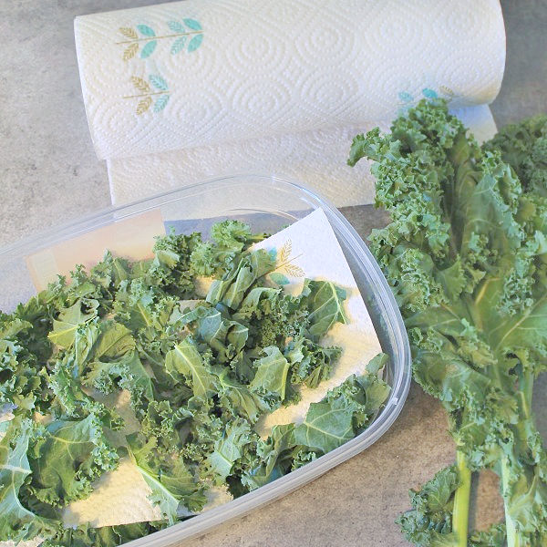 keeping lettuce fresh with paper toweling