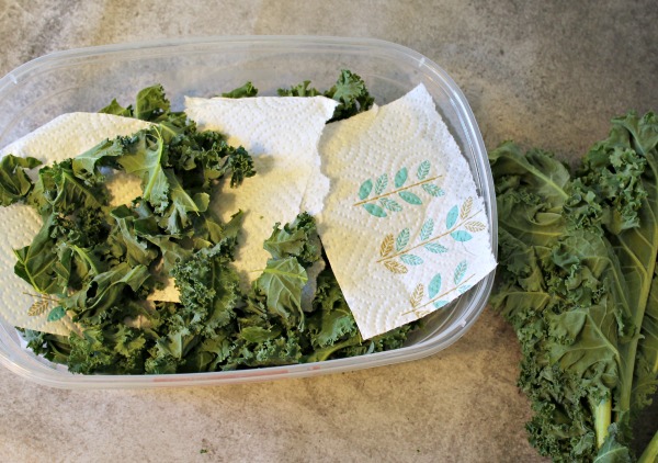 A simple tip for how to keep your lettuce, romaine, kale, or other greens fresh longer