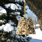 Make your own birdseed bells