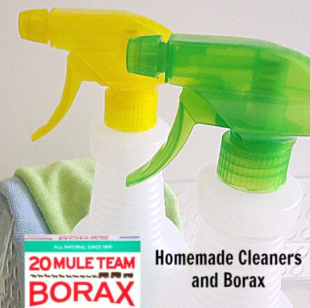 The Problem With Borax and Spray Bottles