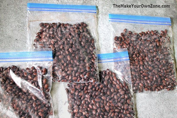 homemade cooked black beans in ziploc bags