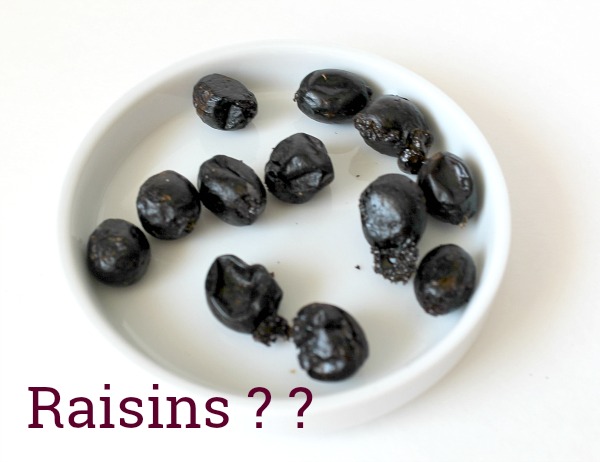 Trying to make homemade raisins