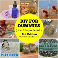 DIY For Dummies (Just 2 Ingredients!) – 8th Edition