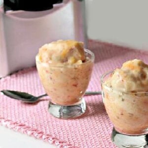 frozen treats made with a yonanas ice cream maker