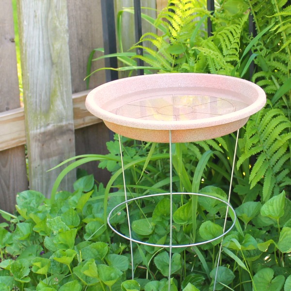 A homemade bird bath made with a tomato cage