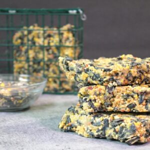 Homemade Birdseed Cakes