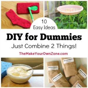 DIY For Dummies {Just 2 Ingredients} – 10th Edition