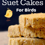 No Melt Suet Cakes For Birds