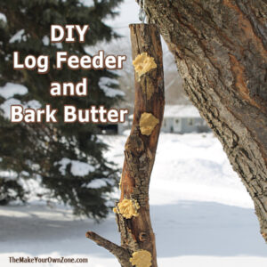 bird feeder made from a log filled with bark butter