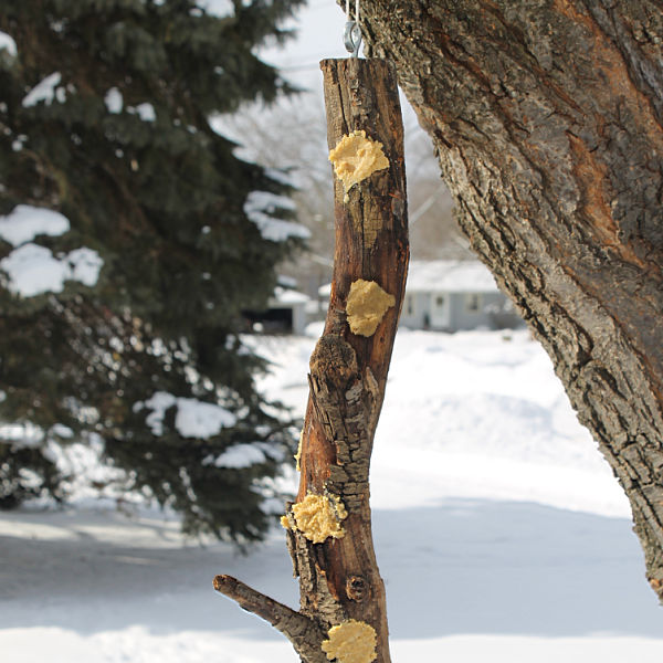 A homemade suet log bird feeder