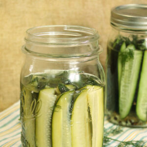 homemade dill pickles