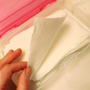 homemade sanitizing hand wipes made with paper toweling