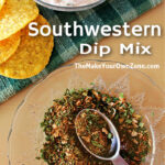 Southwestern dip mix
