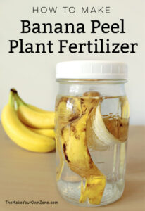 Banana Peel in a mason jar to make plant fertilizer
